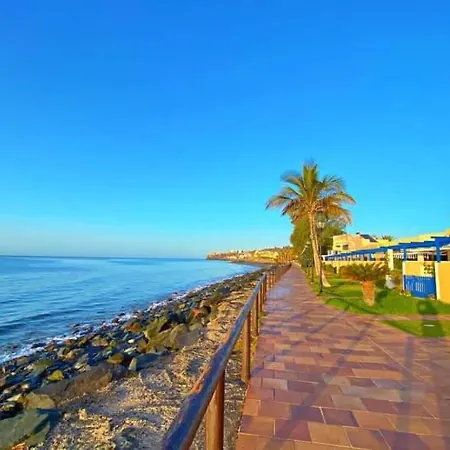 Sunsea *