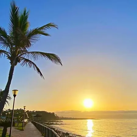 Sunsea