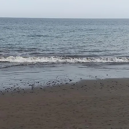 Sunsea *